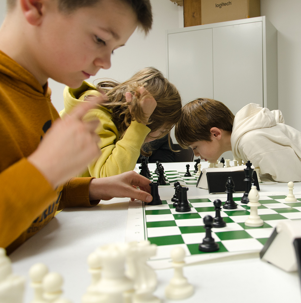 Jeu d'Echecs et Jeu de Go 12 chevalbayard8